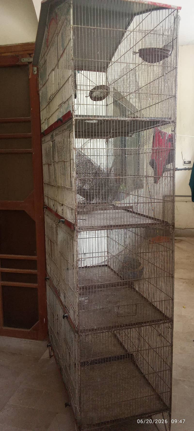 Cages 6