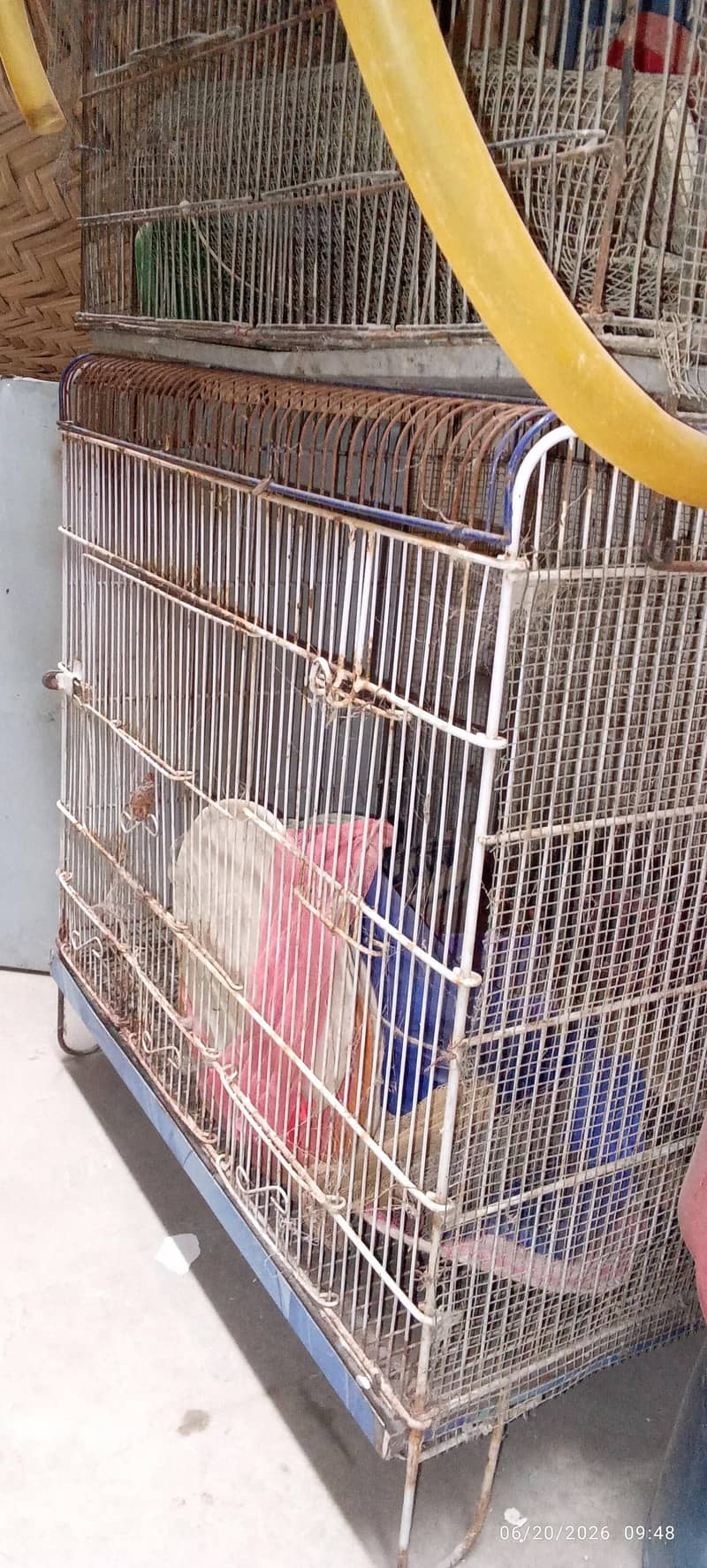 Cages 8