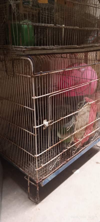 Cages
