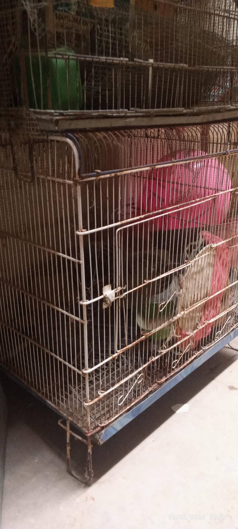 Cages 9