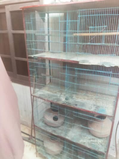 cage 8 porchana