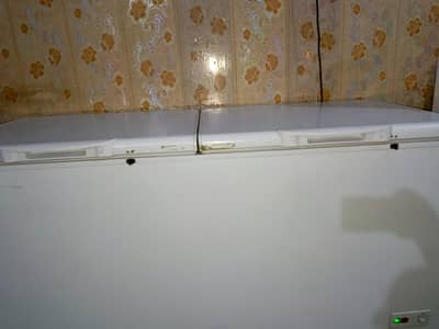 Haier new d freezer