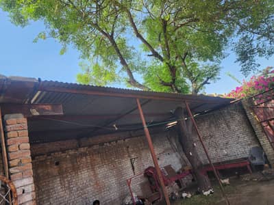 iron shade for sale