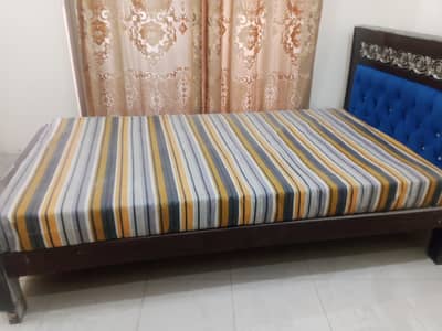 singal bed
