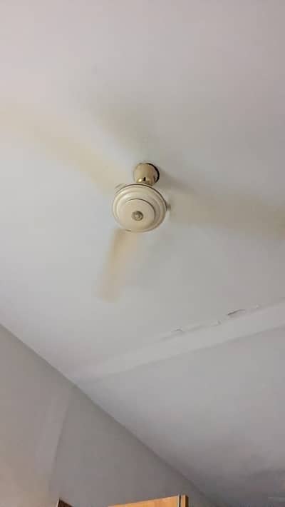 cealing fan