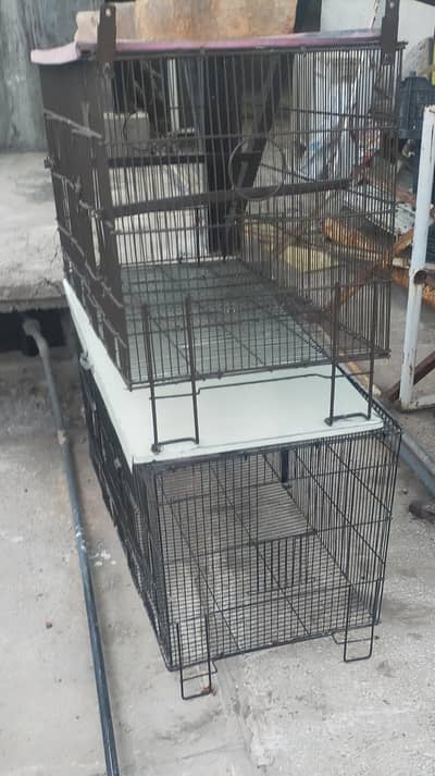 Three Cages