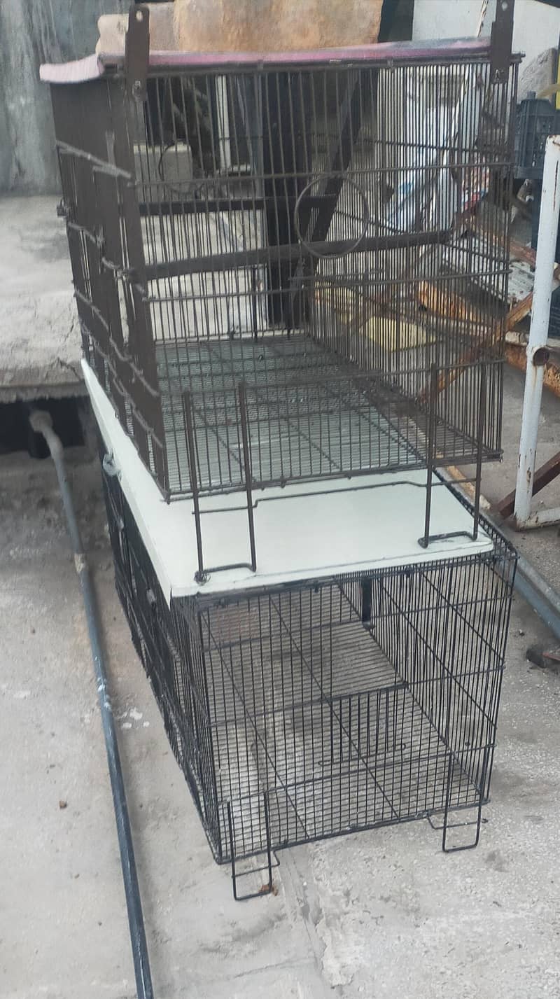 Three Cages 0