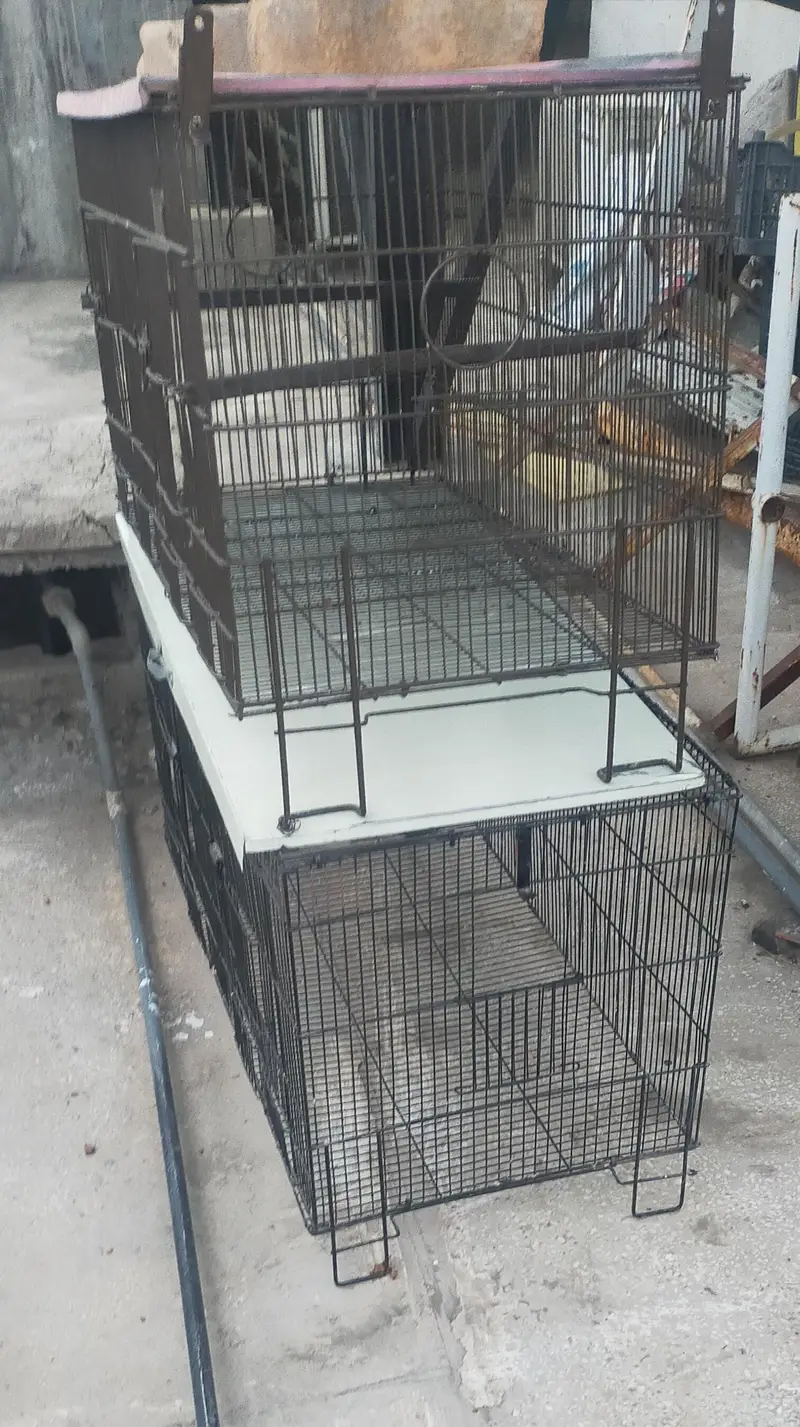 Three Cages
