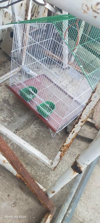 Three Cages