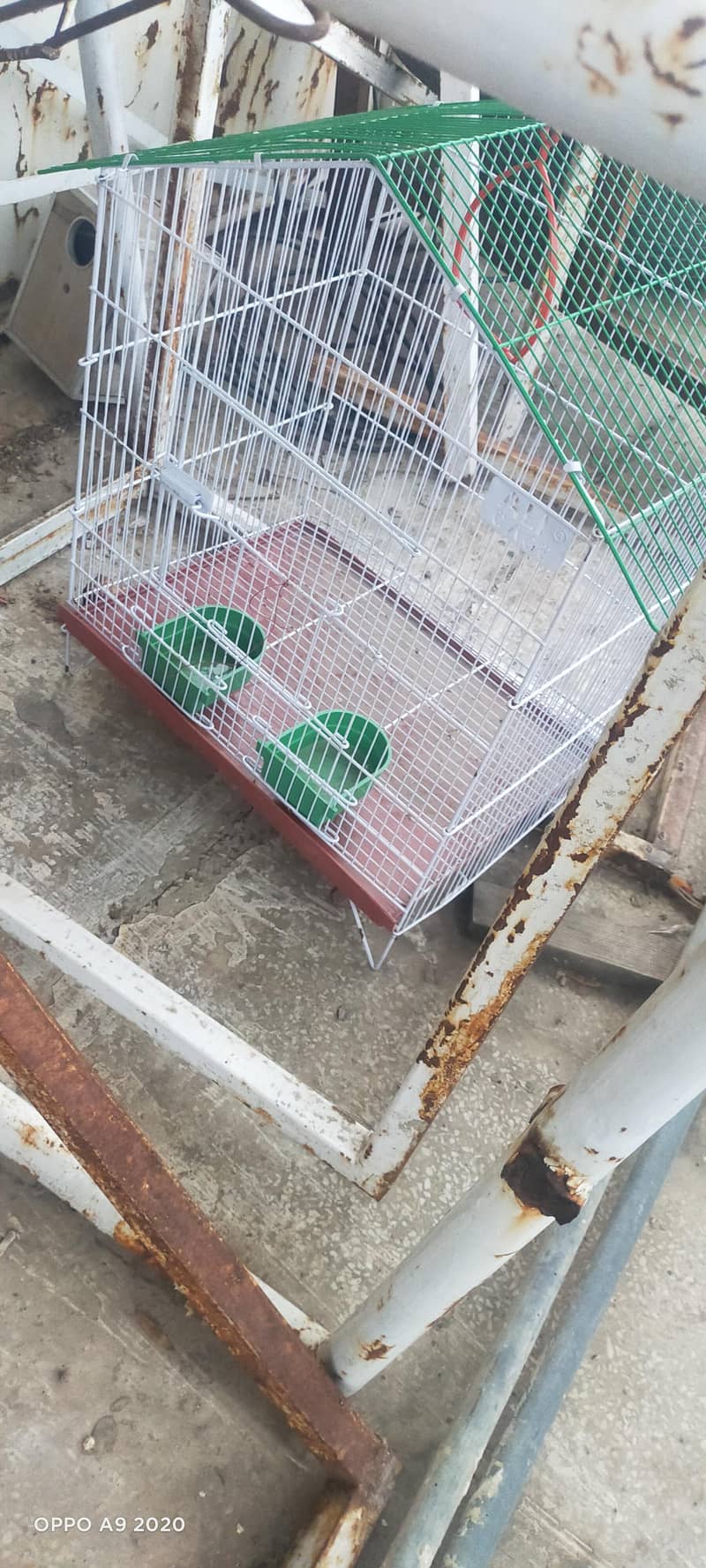 Three Cages 1