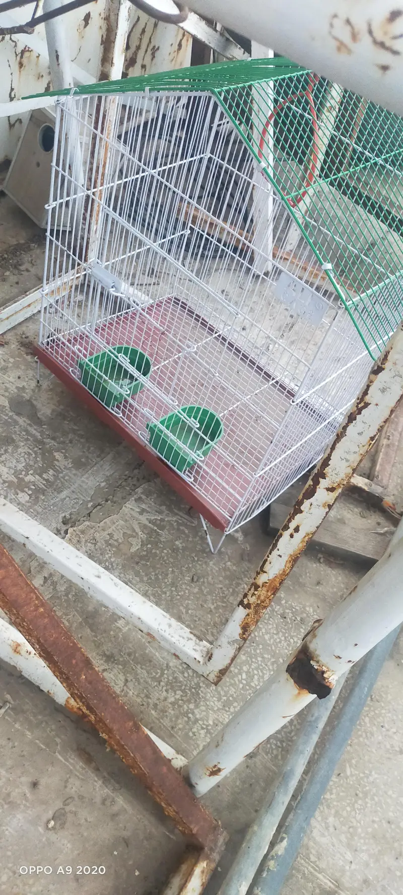 Three Cages — photo 2