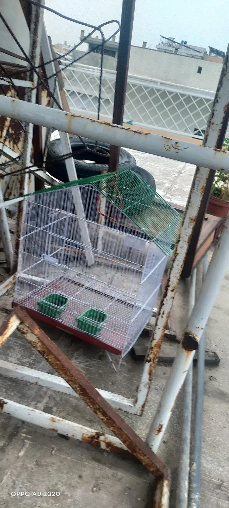 Three Cages — photo 3