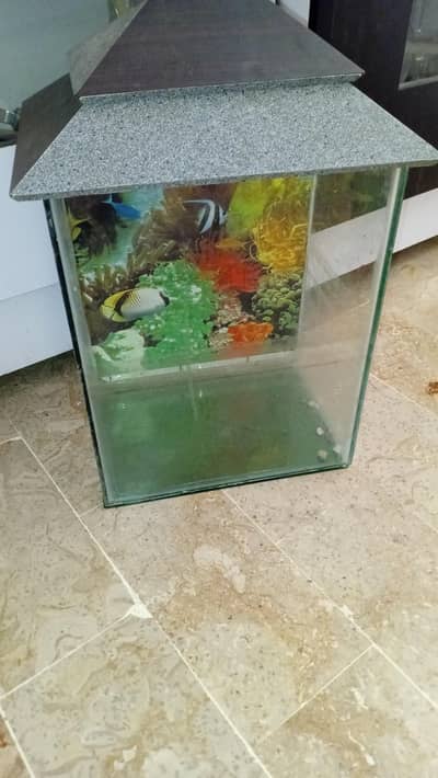Fish aquarium