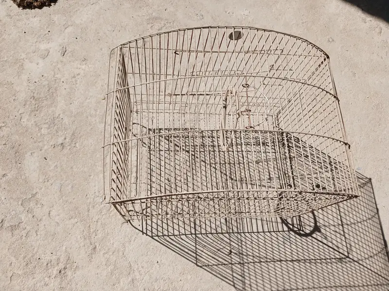 Brids Cage for Sale