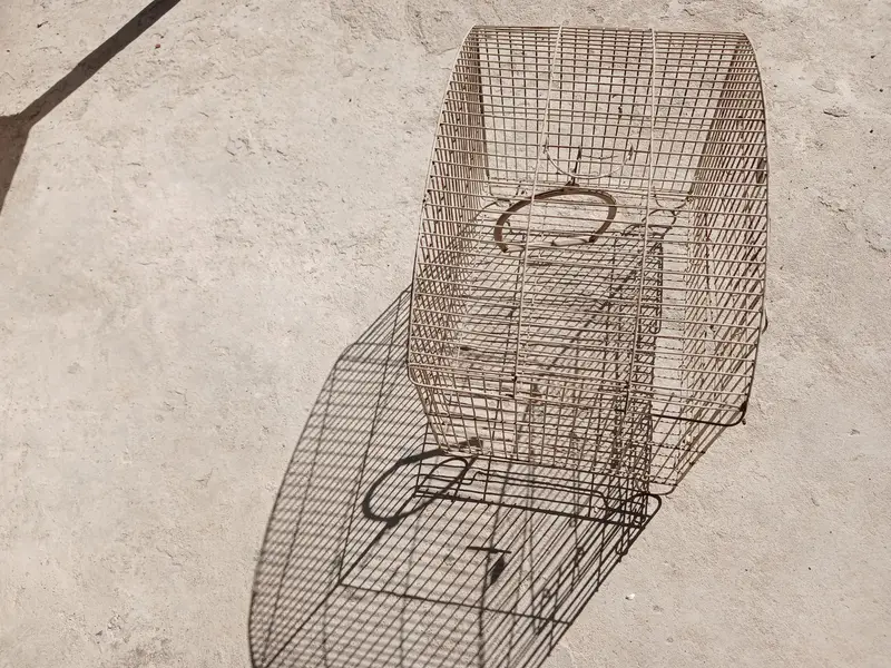 Brids Cage for Sale — photo 2