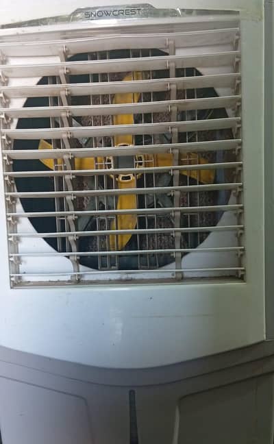 Air Cooler (AC/DC)