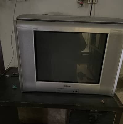 Sony TV with woofers