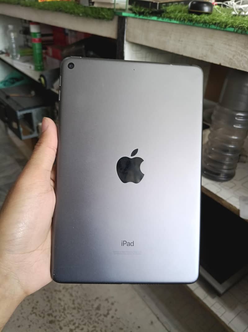 ipad mini 5 0