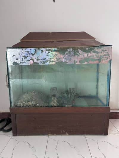 Fish Aquarium