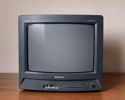 Sony Trinitron 14" CRT Color TV