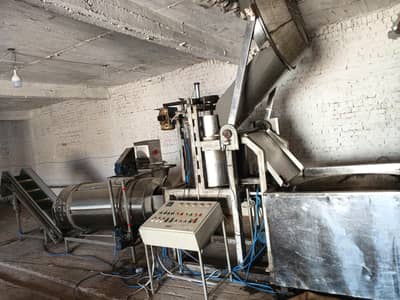 salant chips machine
