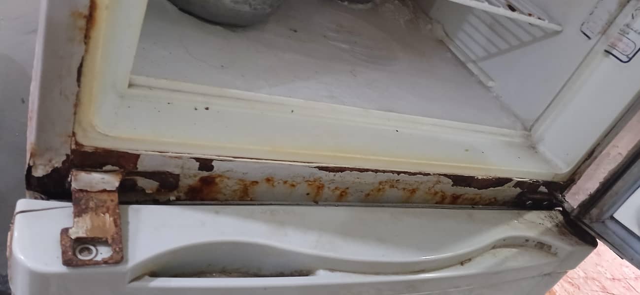 Refrigerator 11