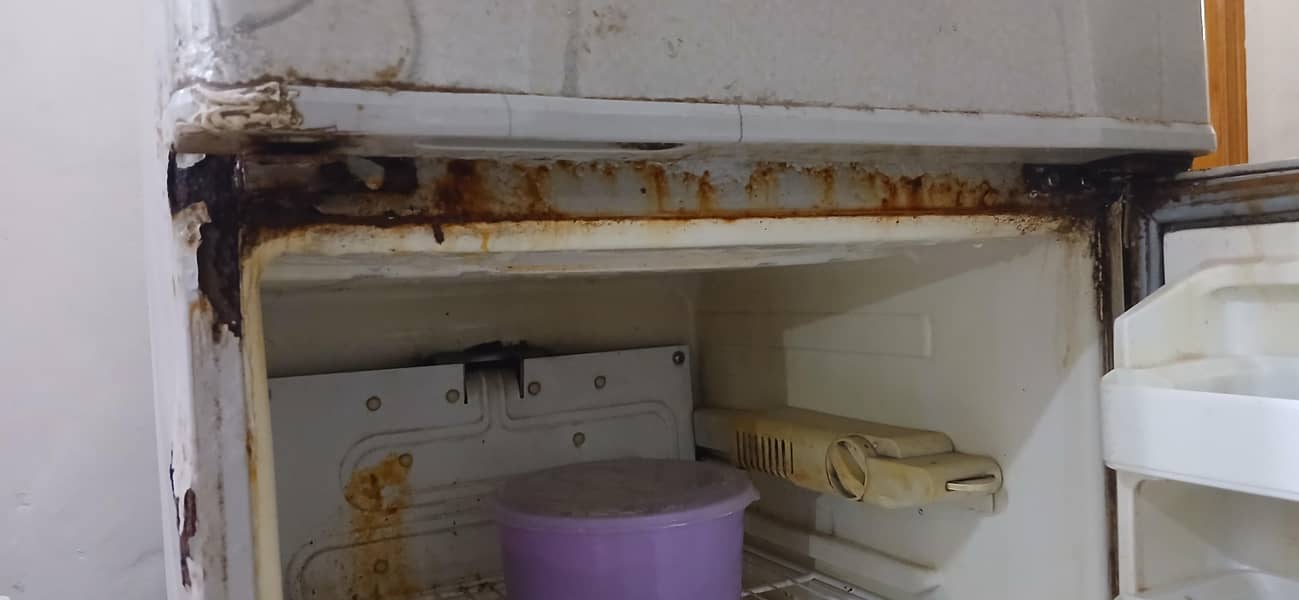 Refrigerator 12