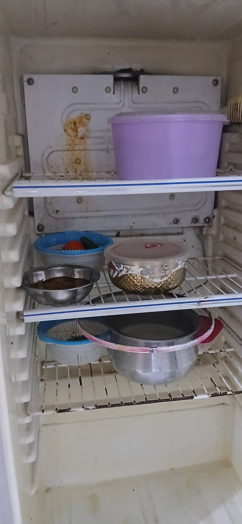 Refrigerator 14