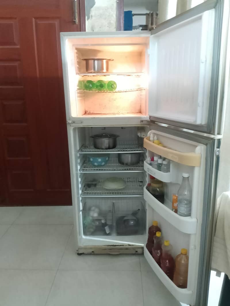 frige 1