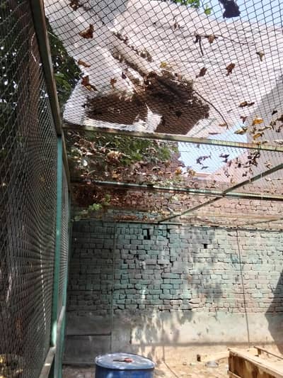 Strong iron cage for animals, birds, pigeons, goats