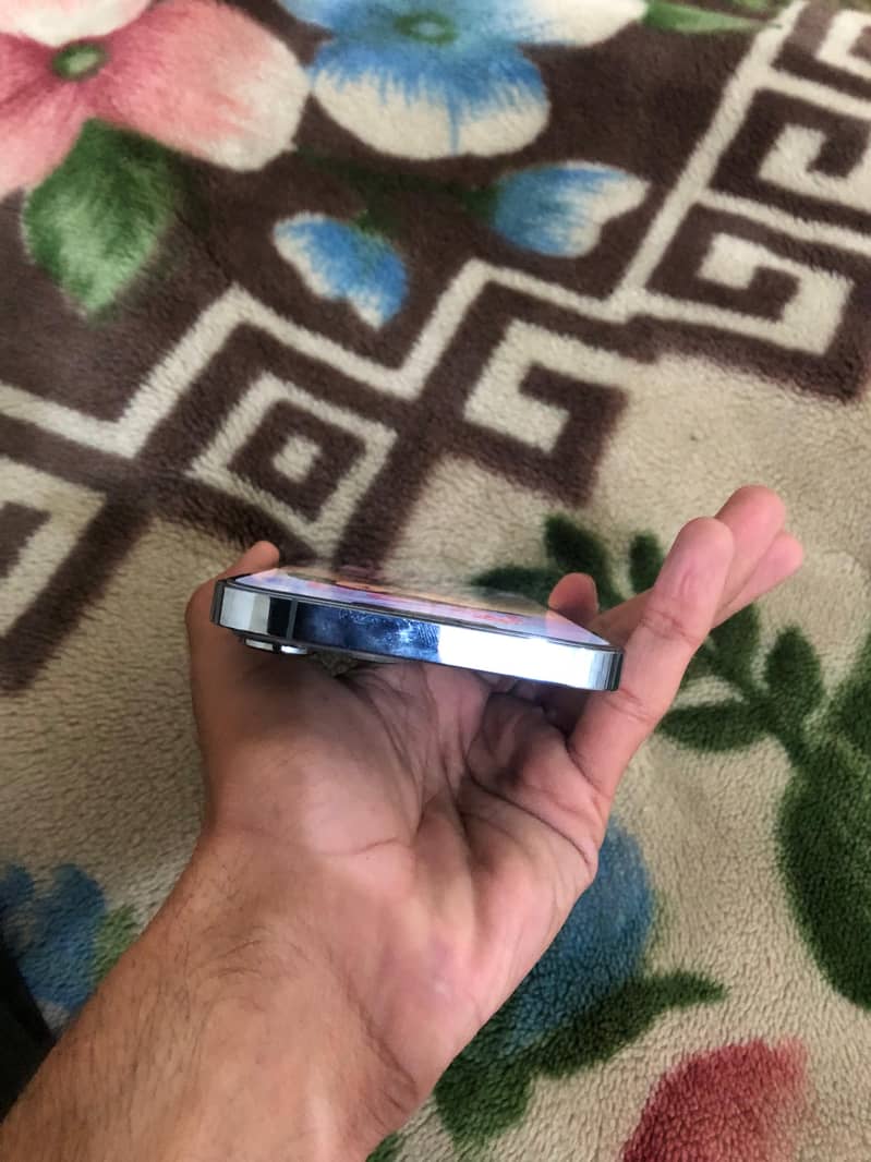 Apple iPhone 13pro max 2
