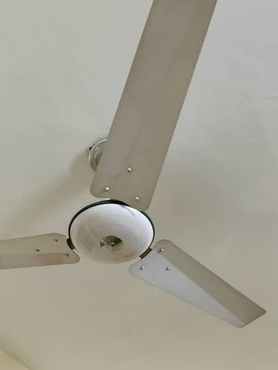 GFC celling fans