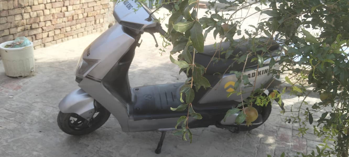 Road king 2