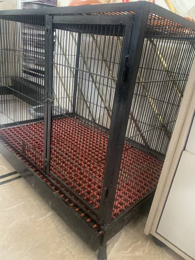 Dog Cage