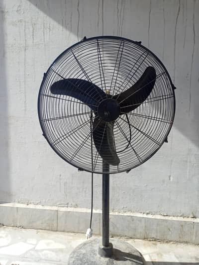 Fan 12 volti