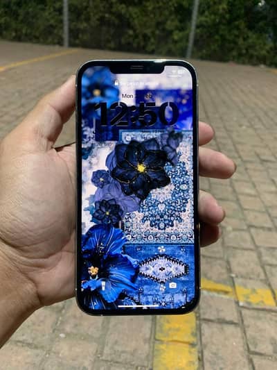 Apple iPhone 12 Pro Max