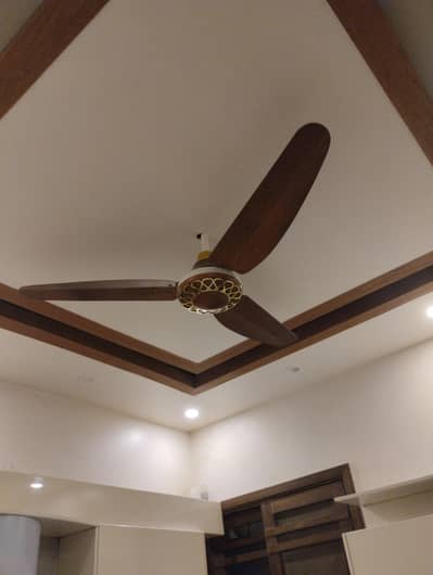 Ceiling fans types. . . both in good running condition