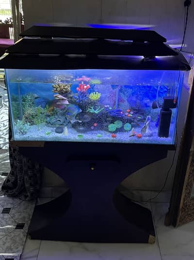 3f Aquarium with filter and heater