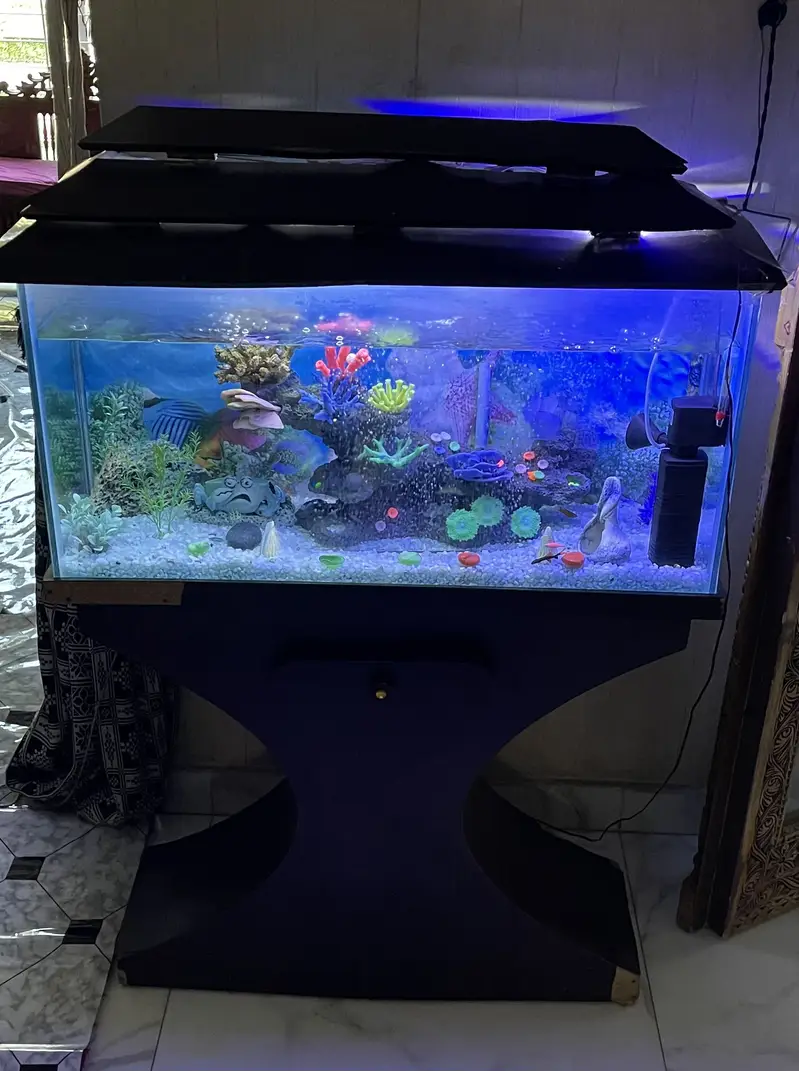3f Aquarium with filter and heater