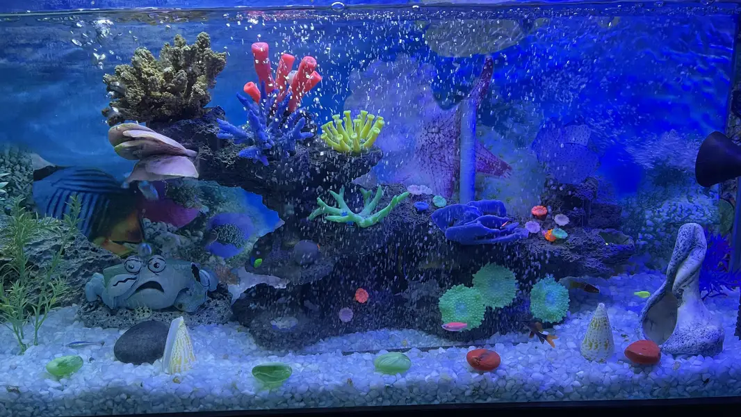 3f Aquarium with filter and heater — photo 2