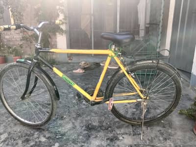 Phoenix Bycycle