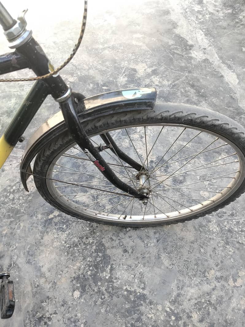 Phoenix Bycycle 1