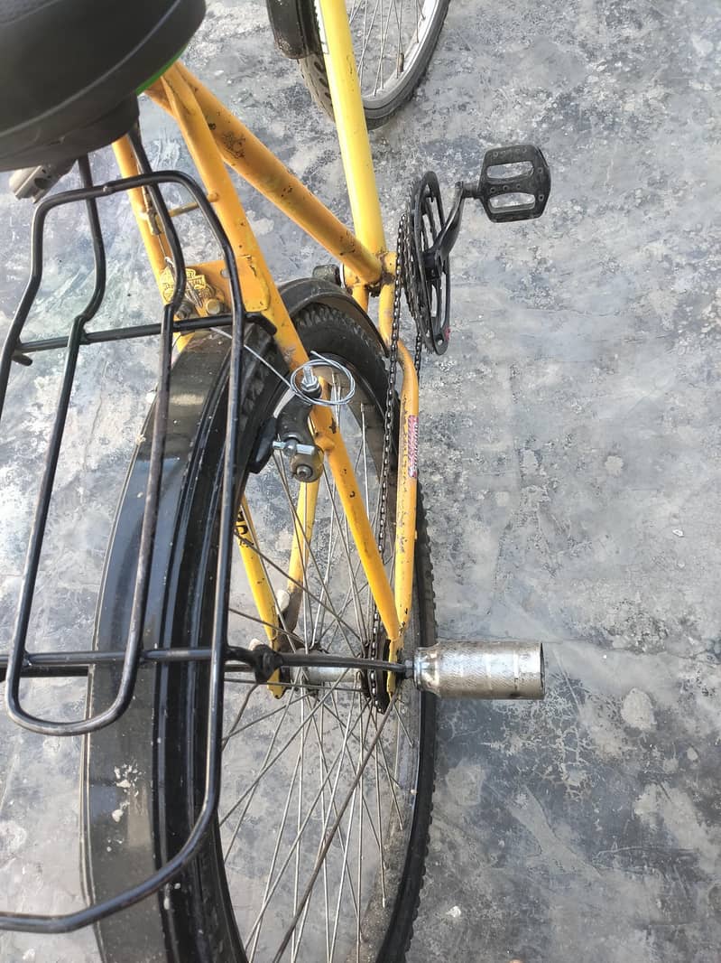 Phoenix Bycycle 2