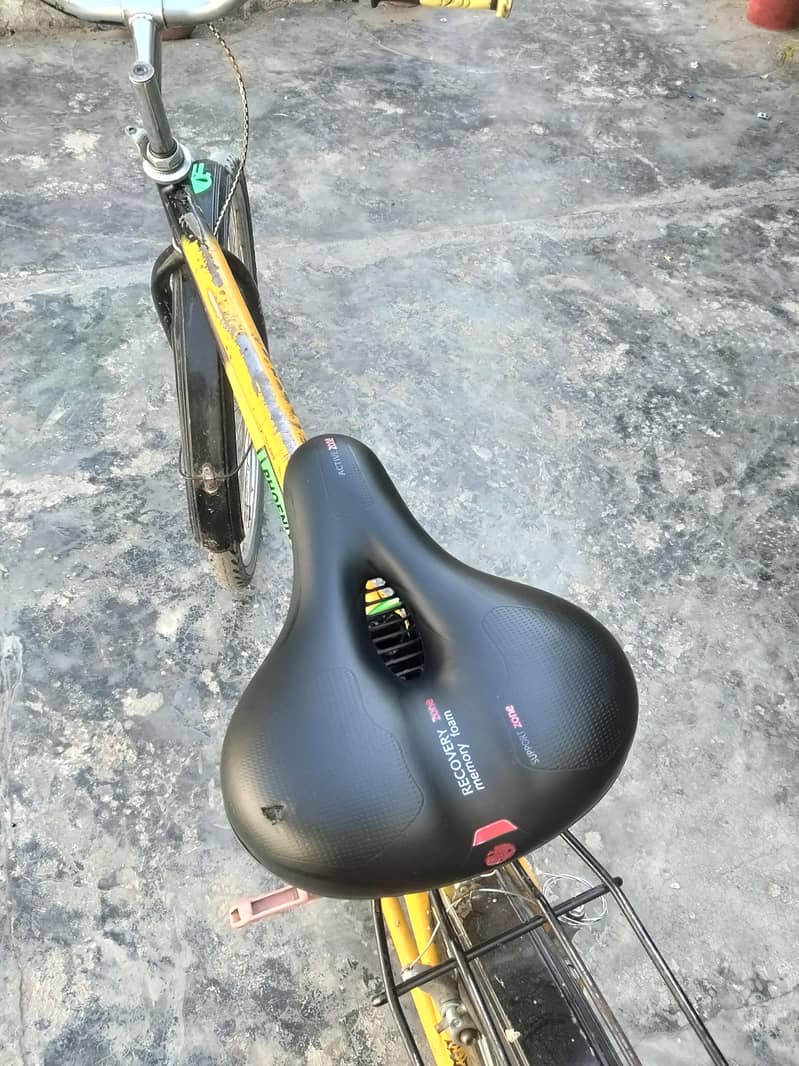 Phoenix Bycycle 3