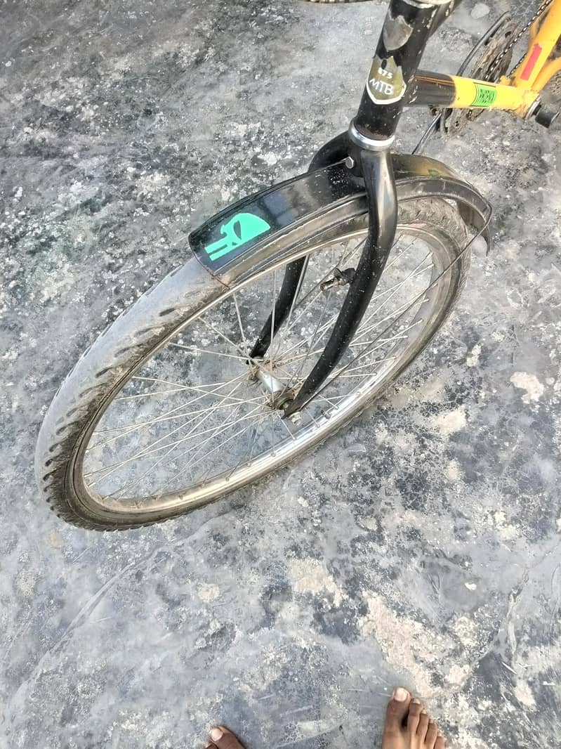 Phoenix Bycycle 4