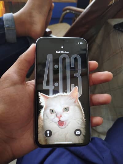 Apple iPhone 11