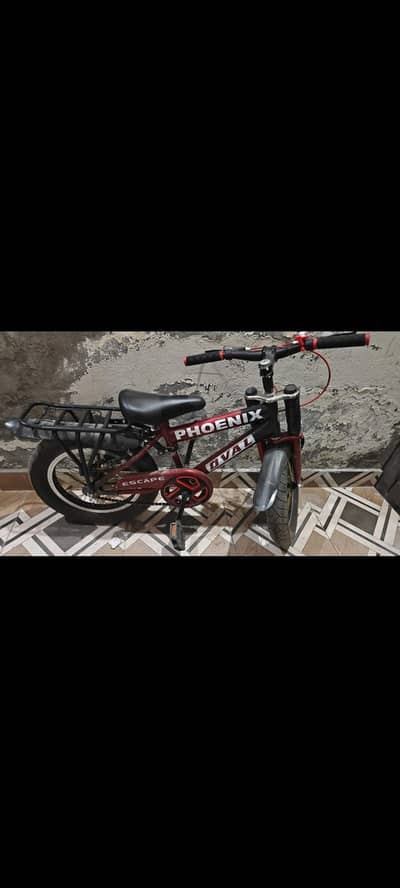 Bicycle in good condition