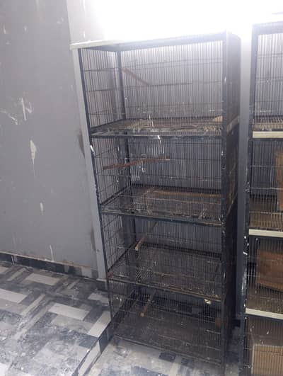 iron cages