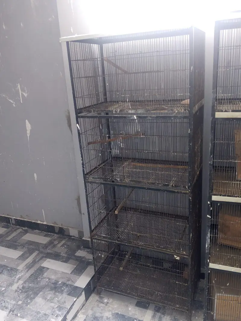 iron cages