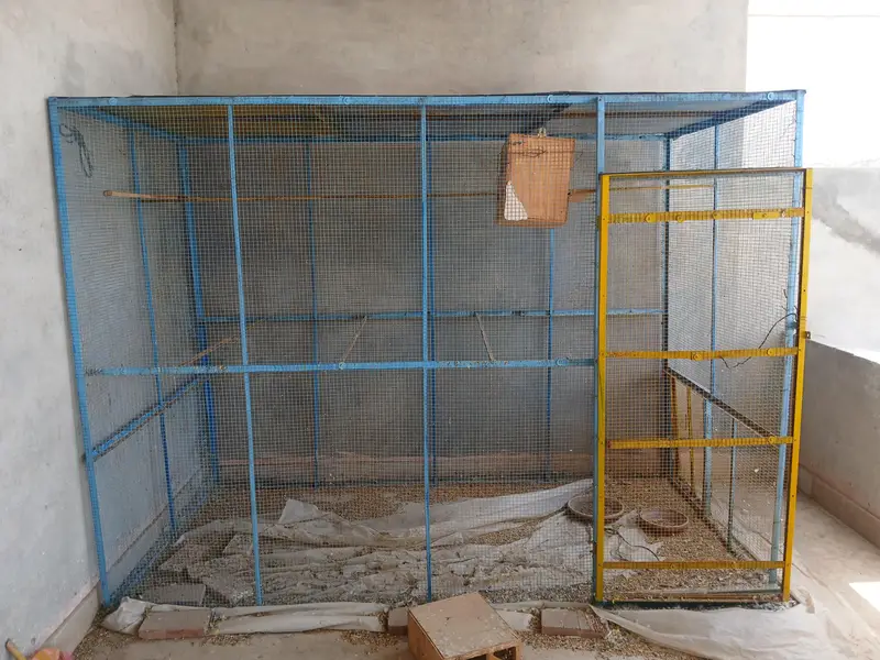 Bird Cages Available for Sale — photo 3